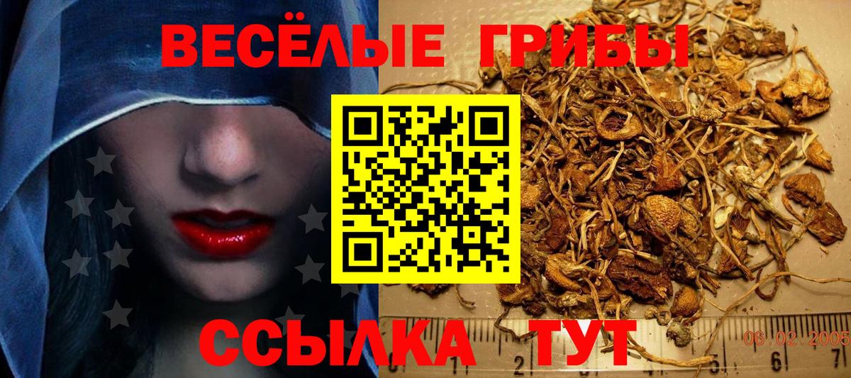 даркнет сайт  Псилоцибиновые грибы MAGIC MUSHROOMS  Бийск  Вход с VPN  Псилоцибиновые грибы мицелий 