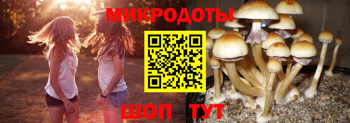 Псилоцибиновые грибы мухоморы Бийск